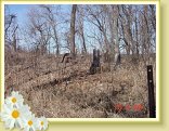 DSC02858_small