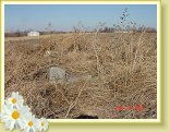 DSC02798