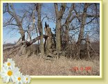 photos