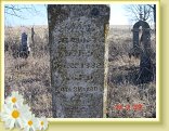 DSC02719