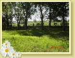 DSC02496