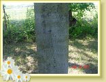 DSC02501