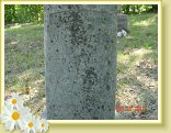 DSC02509
