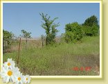 DSC02514