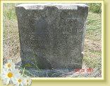 DSC02528