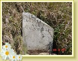 DSC02550
